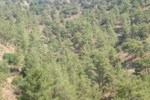 25586m² Land à Trimiklini, Cyprus No. 42117 2