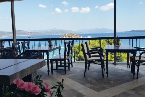 1450m² Hotel in Argolis, Greece No. 57112 4