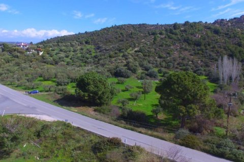 9100m² Land en Chalkidiki, Greece No. 57109 4