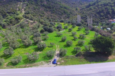 9100m² Land in Chalkidiki, Greece No. 57109 2