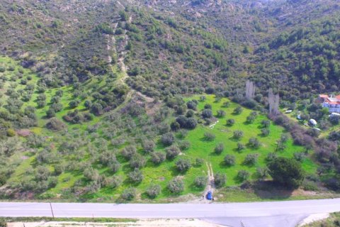 9100m² Land in Chalkidiki, Greece No. 57109 5