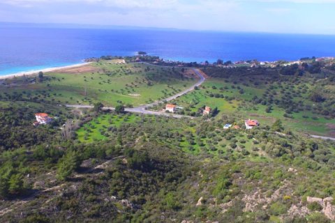 9100m² Land in Chalkidiki, Greece No. 57109 1