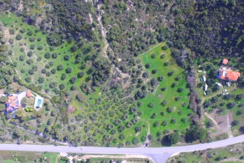 9100m² Land in Chalkidiki, Greece No. 57109 6