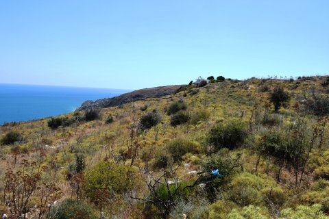 14364m² Land à Souda, Greece No. 57114 6