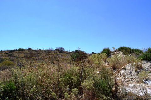 14364m² Land in Souda, Greece No. 57114 4