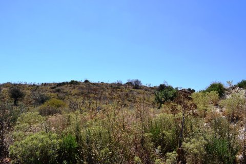 14364m² Land à Souda, Greece No. 57114 3