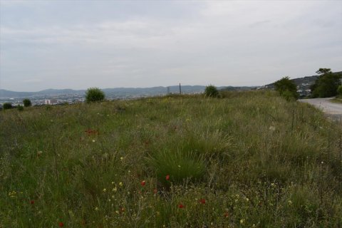 4960m² Land à Polichni, Greece No. 57358 2