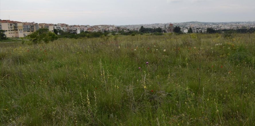 4960m² Land à Polichni, Greece No. 57358