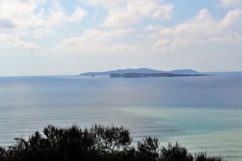 6200m² Land in Corfu, Greece No. 57372 3