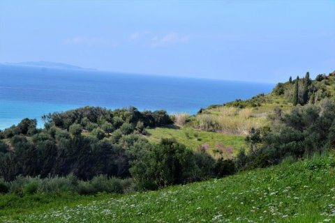 6200m² Land en Corfu, Greece No. 57372 5