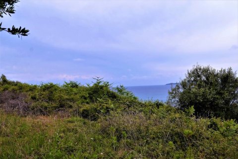 6200m² Land in Corfu, Greece No. 57372 6