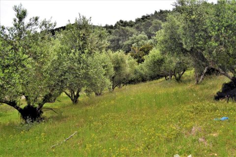 6200m² Land in Corfu, Greece No. 57372 4