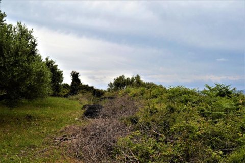 6200m² Land in Corfu, Greece No. 57372 8