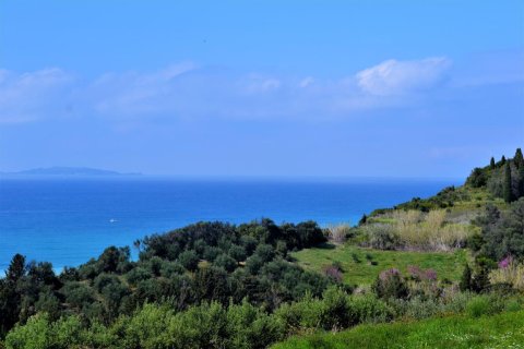 6200m² Land in Corfu, Greece No. 57372 2