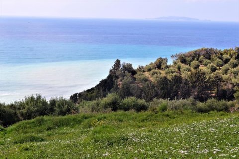 6200m² Land à Corfu, Greece No. 57372 11