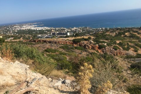 26000m² Land in Hersonissos, Greece No. 57315 5