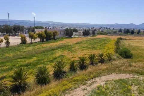 16890m² Land à Polis, Cyprus No. 35785 2