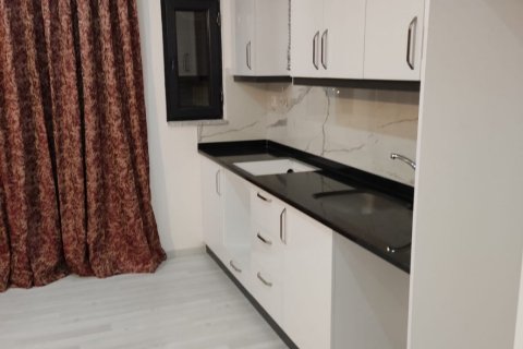 3+1 Apartment in Alanya, Turkey No. 14606 20