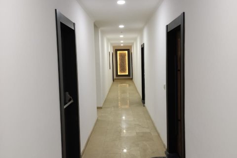 3+1 Apartment in Alanya, Turkey No. 14606 8