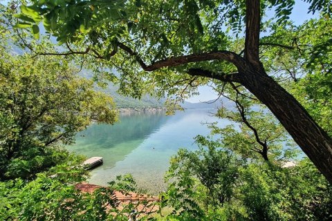 555m² Land in Kotor, Montenegro No. 66757 4