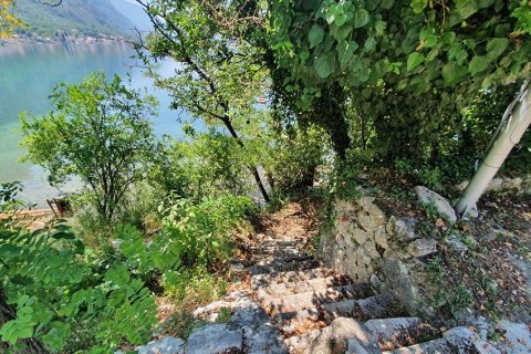 555m² Land en Kotor, Montenegro No. 66757 3