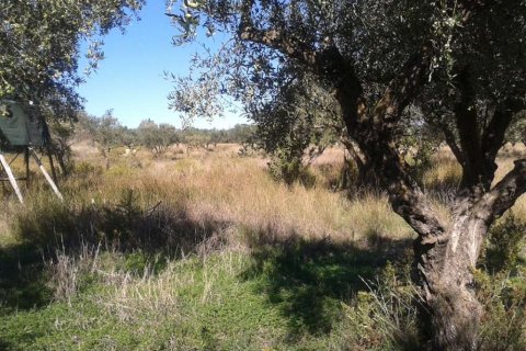 Land in Zakynthos, Greece No. 28055 7