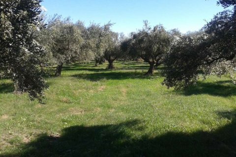 Land in Zakynthos, Greece No. 28055 8