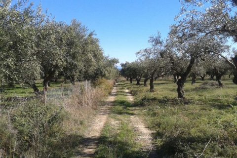 Land in Zakynthos, Greece No. 28055 9