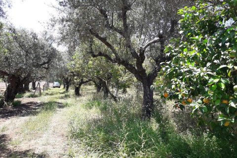 Land in Zakynthos, Greece No. 28057 9