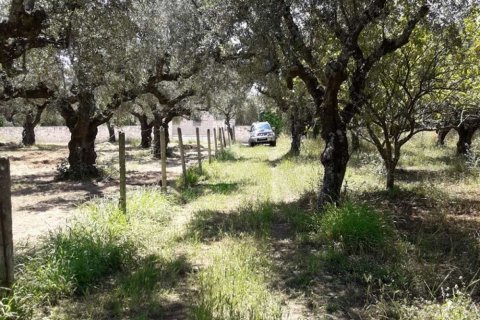 Land in Zakynthos, Greece No. 28057 14