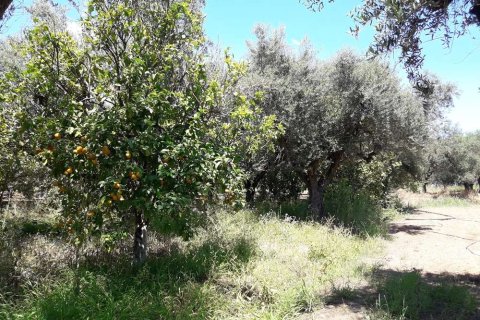 Land in Zakynthos, Greece No. 28057 12