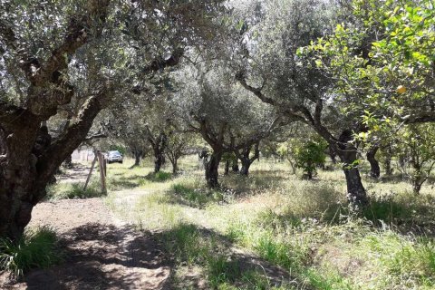 Land in Zakynthos, Greece No. 28057 5