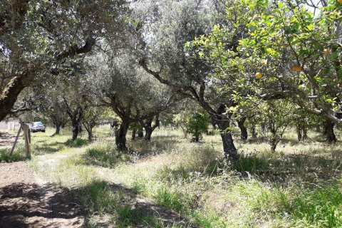 Land in Zakynthos, Greece No. 28057 13