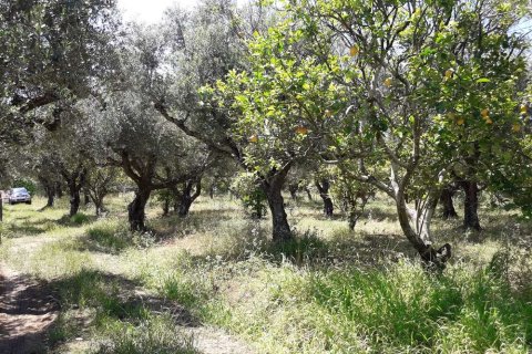 Land in Zakynthos, Greece No. 28057 4