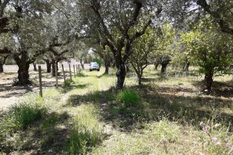 Land in Zakynthos, Greece No. 28057 6