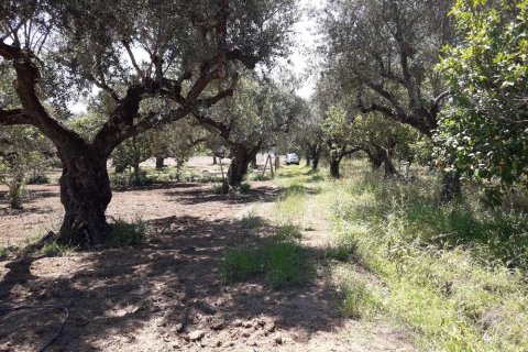 Land in Zakynthos, Greece No. 28057 2