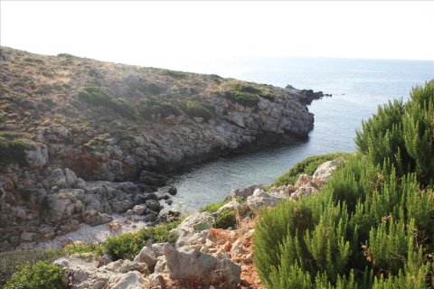 2000m² Land in Chania, Greece No. 57185 5