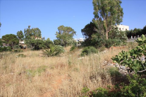 2000m² Land in Chania, Greece No. 57185 2