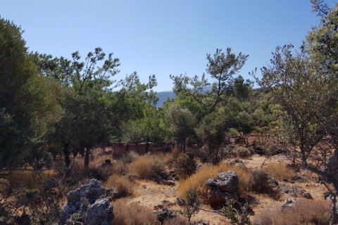 14565m² Land à Agios Nikolaos, Greece No. 56923 4