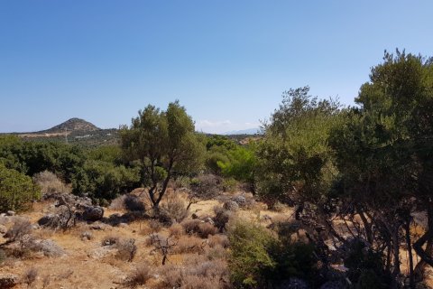 14565m² Land en Agios Nikolaos, Greece No. 56923 3