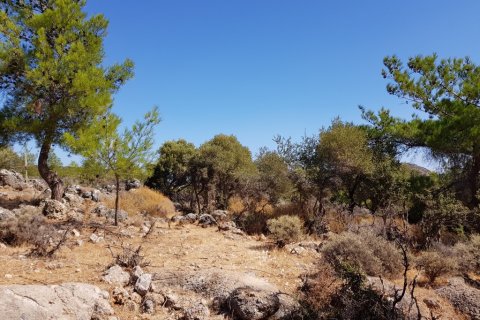 14565m² Land en Agios Nikolaos, Greece No. 56923 2