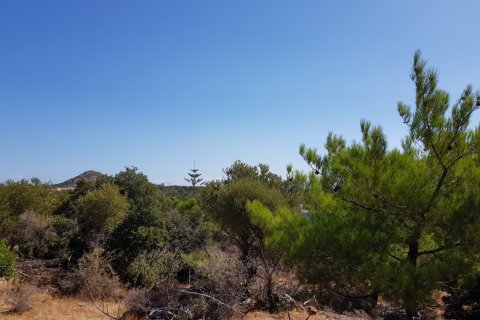 14565m² Land en Agios Nikolaos, Greece No. 56923 6