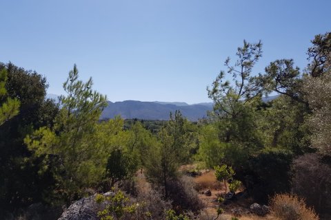 14565m² Land en Agios Nikolaos, Greece No. 56923 5