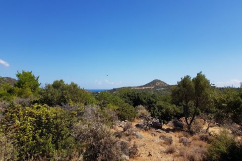 14565m² Land en Agios Nikolaos, Greece No. 56923 1