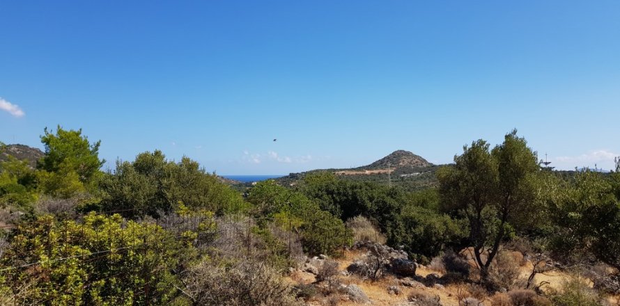 14565m² Land en Agios Nikolaos, Greece No. 56923