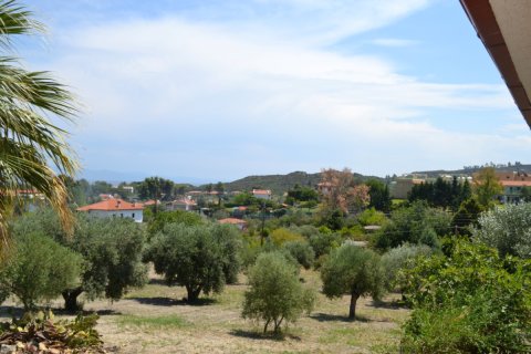 3 chambres Villa à Chalkidiki, Greece No. 50025 8