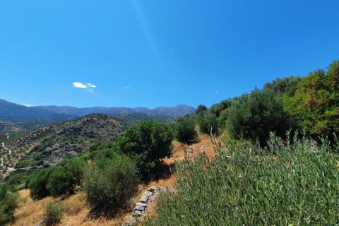 21000m² Land en Sitia, Greece No. 56292 2