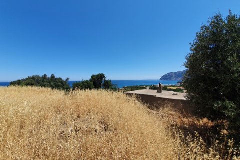 21000m² Land in Sitia, Greece No. 56292 4