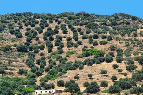 21000m² Land in Sitia, Greece No. 56292 7