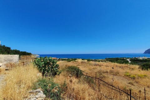 21000m² Land in Sitia, Greece No. 56292 3